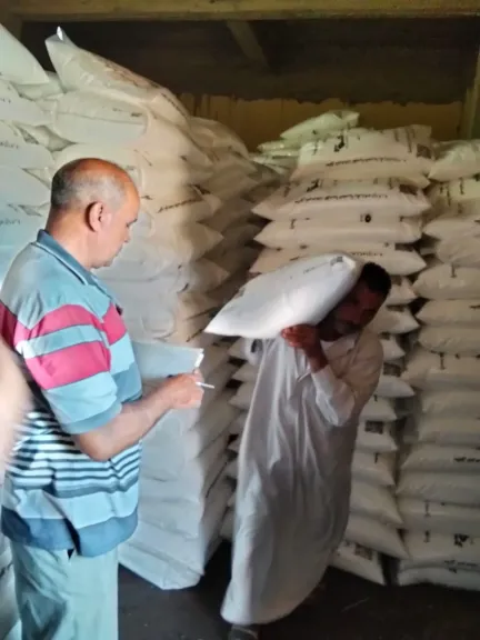 جولات ميدانية موسعة لزراعة الدقهلية لضبط صرف المقررات واستكمال الحصر الرقمي