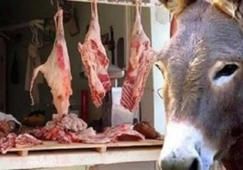 الطب البيطري يضبط 3 أشخاص أثناء ذبح 9 حمير لسلخ جلودها في سوهاج