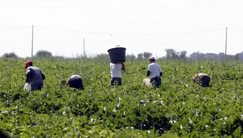 «معلومات تغير المناخ» يزف بشرى بانحسار القبة الحرارية ويحذر من التهاون