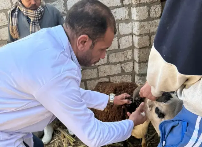 «بيطري سوهاج» يطلق ندوة إرشادية بالسلاموني للتوعية بالأمراض المشتركة وطرق الوقاية