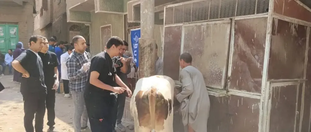 قافلة بيطرية مجانية تضرب قرية الشامية في أسيوط لدعم المربين وحماية الثروة الحيوانية
