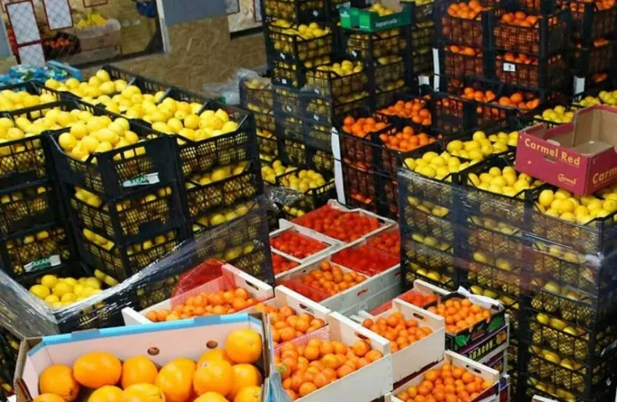 الصادرات الزراعية المصرية تتجاوز 6.2 مليون طن.. وتوقعات بتخطي حاجز الـ10 ملايين بنهاية 2026
