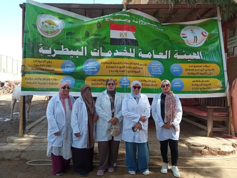 ”الزراعة” تطلق 254 قافلة بيطرية مجانية خلال يوليو لخدمة المربين بالقرى