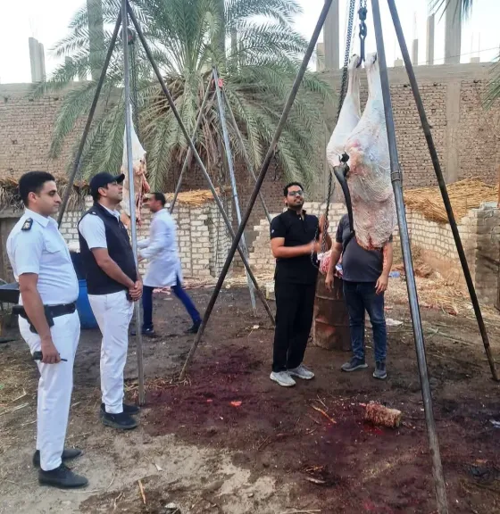 ضبط طن لحوم وأحشاء غير صالحة للاستهلاك في حملة مكبرة بسوهاج