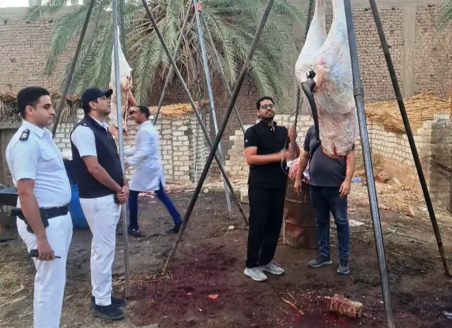 ضبط طن لحوم وأحشاء غير صالحة للاستهلاك في حملة مكبرة بسوهاج