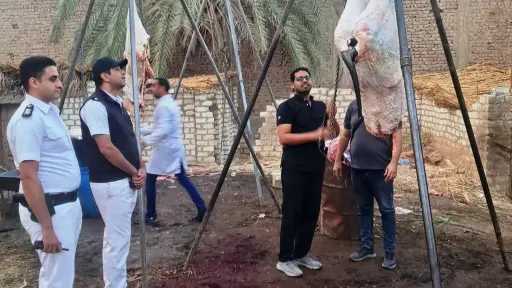 ضبط طن لحوم وأحشاء غير صالحة للاستهلاك في حملة مكبرة بسوهاج