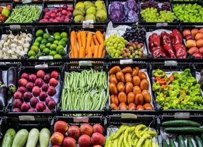 الزراعة تعلن زيادة التصدير لـ 6.2 مليون طن وتكشف أسرار التفوق في الأسواق العالمية