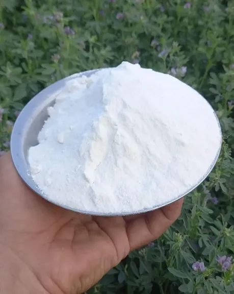 6 وظائف حيوية للبوتاسيوم داخل النبات.. تعرف عليها قبل التسميد
