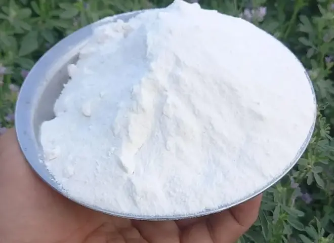 6 وظائف حيوية للبوتاسيوم داخل النبات.. تعرف عليها قبل التسميد