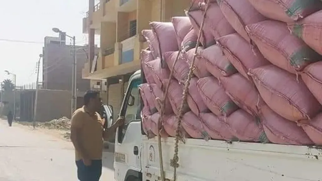 ضبط 77.7 طن قمح محلي قبل تهريبها خارج المنظومة الرسمية في سوهاج