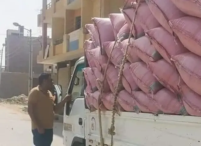 ضبط 77.7 طن قمح محلي قبل تهريبها خارج المنظومة الرسمية في سوهاج