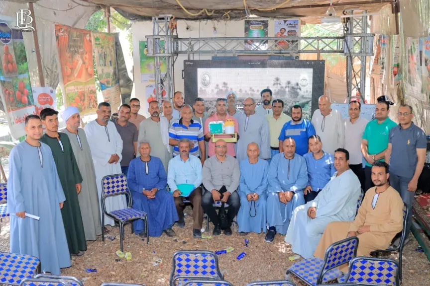 «حافرة الطماطم» تهدد المحصول الاستراتيجي.. ومزارعو إسنا يطالبون بمكافحة جماعية