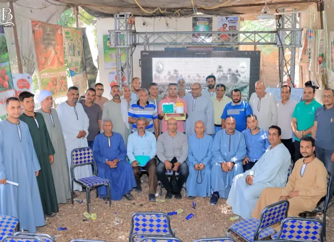 «حافرة الطماطم» تهدد المحصول الاستراتيجي.. ومزارعو إسنا يطالبون بمكافحة جماعية