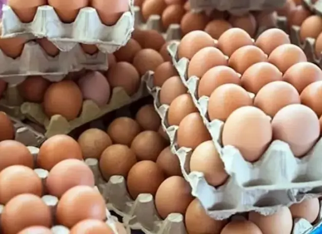 مع دقات جرس المدرسة.. هل تشتعل أسعار البيض تحت ضغط الطلب اليومي؟