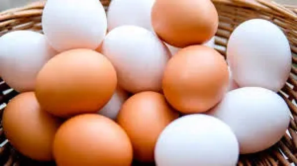 أسعار كرتونة البيض اليوم السبت 22 - 8 - 2026