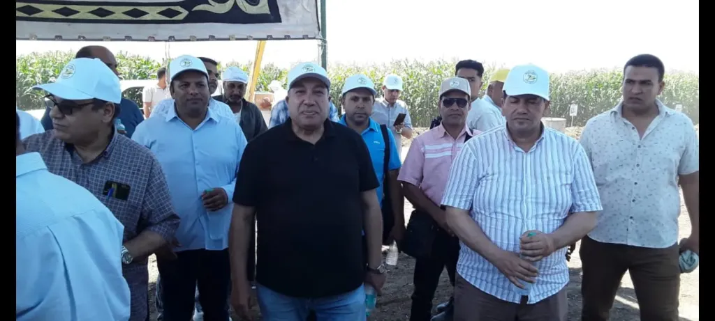 يوم حقل الذرة والأرز بسخا.. أصناف مصرية جديدة لتعزيز الإنتاج وترشيد مياه الري