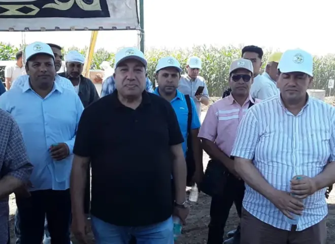 يوم حقل الذرة والأرز بسخا.. أصناف مصرية جديدة لتعزيز الإنتاج وترشيد مياه الري