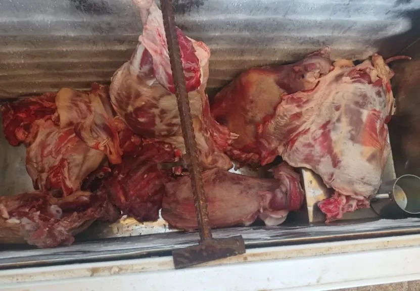 ضبط 97 كيلو لحوم غير صالحة للاستهلاك الآدمي خلال حملة رقابية في سوهاج