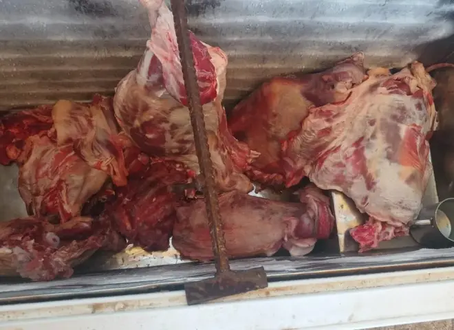 ضبط 97 كيلو لحوم غير صالحة للاستهلاك الآدمي خلال حملة رقابية في سوهاج