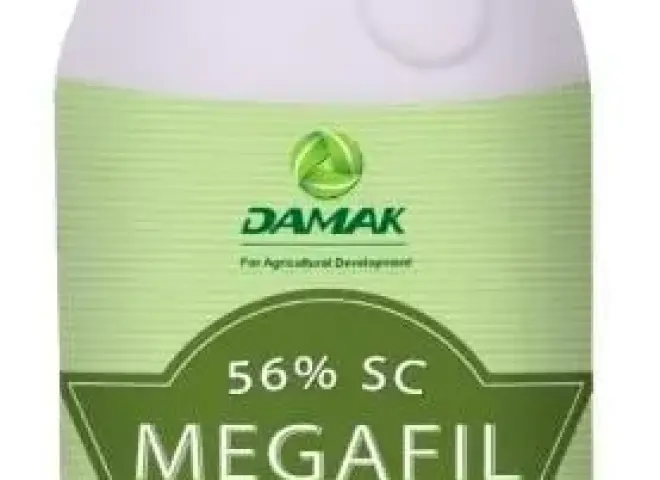 مركب ”ميجافيل 56%” من دماك لمكافحة الأمراض الفطرية