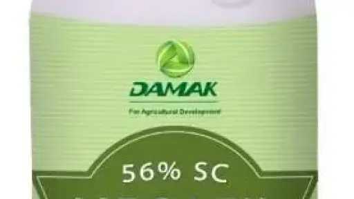 مركب ”ميجافيل 56%” من دماك لمكافحة الأمراض الفطرية