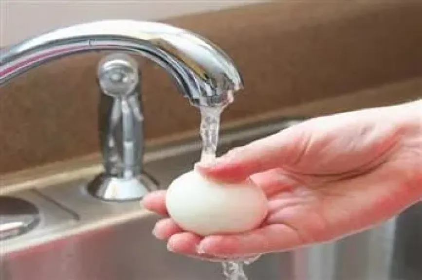 أسباب منع غسل البيض قبل التخزين وموعد الغسيل الآمن
