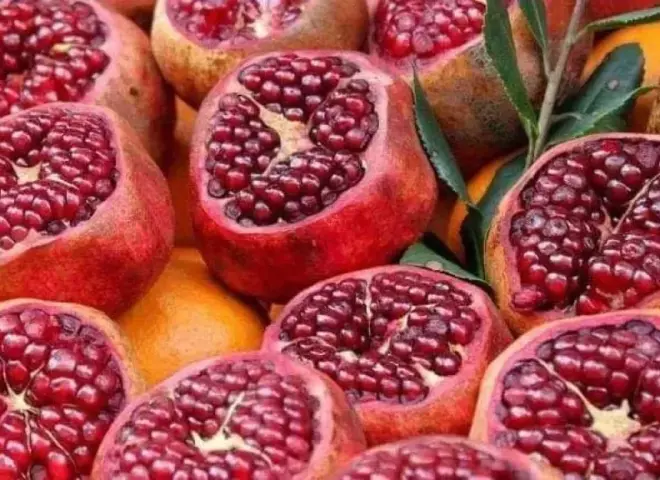 ”الزراعة ” تكشف أسباب الطفرة التصديرية واقتحام أسواق أوروبا