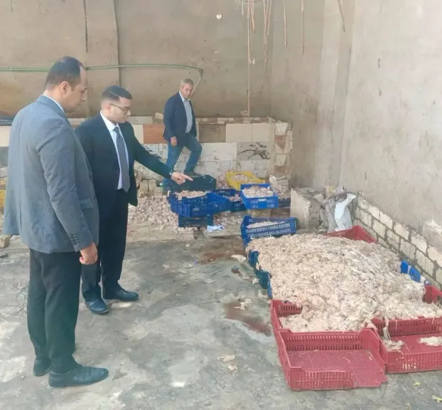 ضبط 2 طن دواجن فاسدة بأبو النمرس قبل توريدها لمصانع الشاورما والسجق
