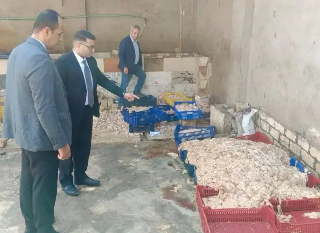 ضبط 2 طن دواجن فاسدة بأبو النمرس قبل توريدها لمصانع الشاورما والسجق