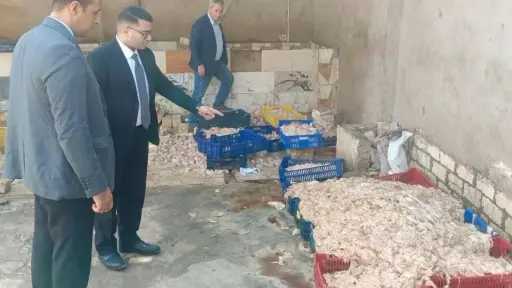 ضبط 2 طن دواجن فاسدة بأبو النمرس قبل توريدها لمصانع الشاورما والسجق