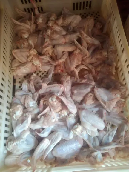 الزراعة تضبط 213 طنًا و281 كجم من اللحوم ومنتجاتها المخالفة خلال أغسطس
