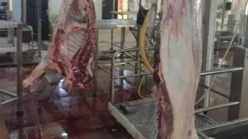«التنمية المحلية» تعلن التشغيل التجريبي لمجزر قنا بعد تطويره بـ28 مليون جنيه