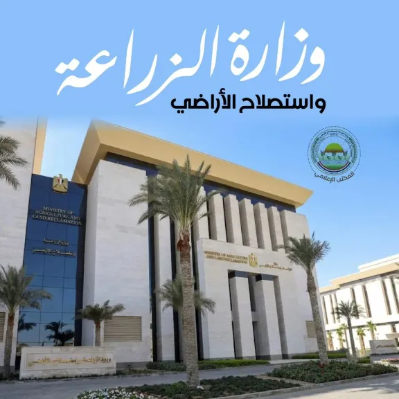 «الحاصلات البستانية» يكثف استعداداته لموسم البطاطس 2026 من فرع الإسكندرية