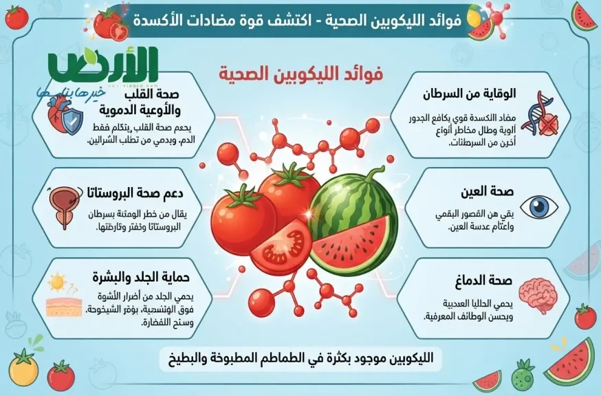 مادة في البطيخ والطماطم تحمي البروستاتا ومضادة للشيخوخة