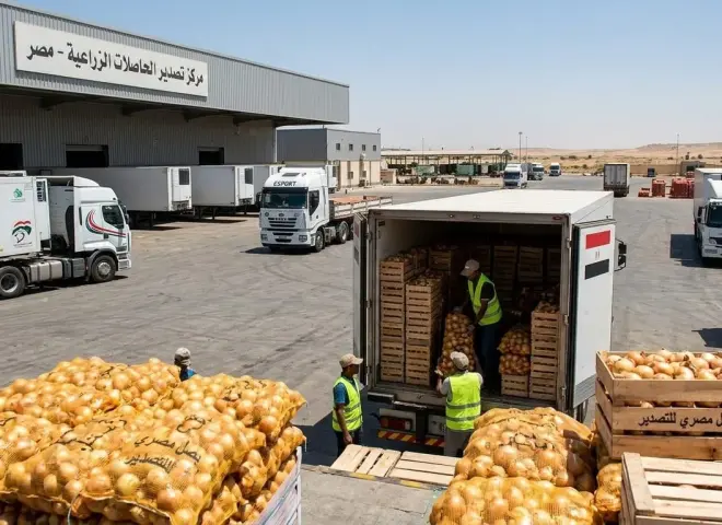 تصدير عشوائي وإغراق لأسواق الخليج بالبصل المصري وسط مطالبات بتدخل الحجر الزراعي