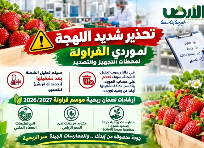 تحذير لموردي الفراولة: متبقيات المبيدات تعدم شحنتك