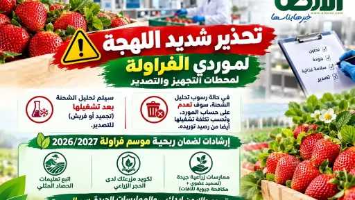 تحذير لموردي الفراولة: متبقيات المبيدات تعدم شحنتك
