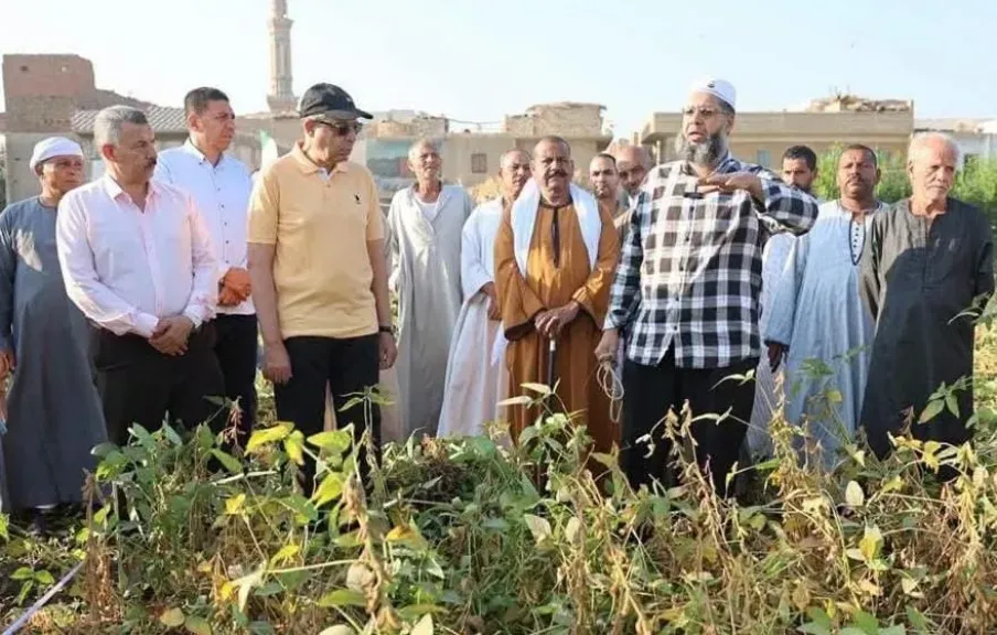 محافظ المنيا يشارك المزارعين فرحة حصاد 79 ألف فدان فول صويا