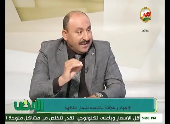 الدور السحري للجبرلين في النبات