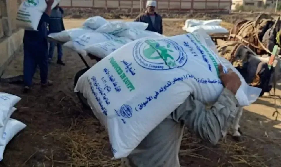 في عيد الفلاح.. مطالب بتصحيح مسار الزراعة وحل أزمات المزارعين