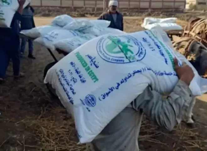 في عيد الفلاح.. مطالب بتصحيح مسار الزراعة وحل أزمات المزارعين