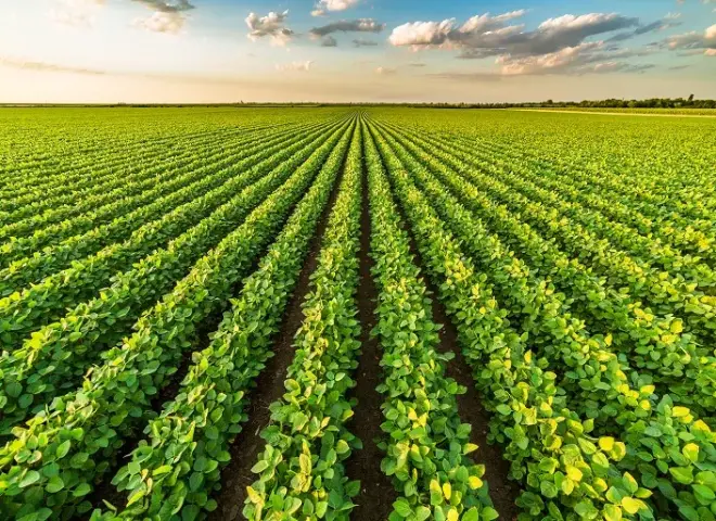 مع بداية الخريف.. مركز المناخ يكشف تأثير تغير الحرارة والرطوبة على المحاصيل