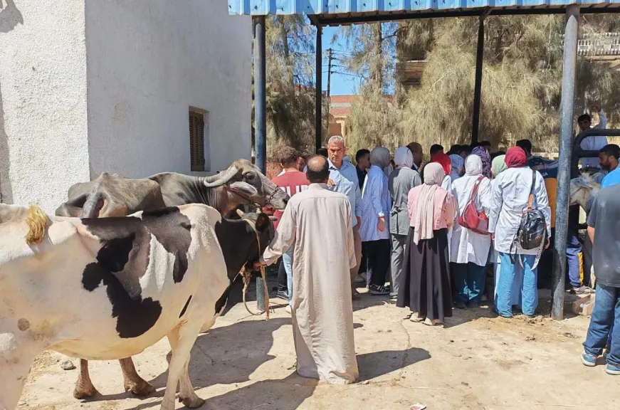 قافلة بيطرية مجانية بكفر الشيخ تقدم 3065 خدمة لصغار المربين وأهالي قرية مسير