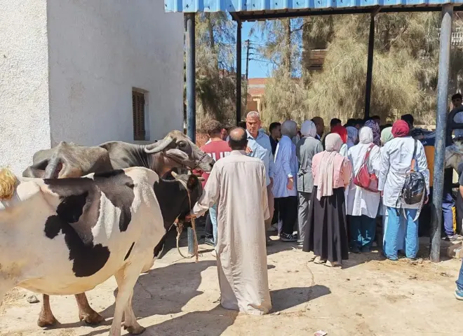 قافلة بيطرية مجانية بكفر الشيخ تقدم 3065 خدمة لصغار المربين وأهالي قرية مسير