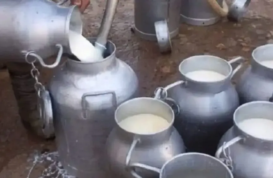ضبط 2.8 طن ألبان غير صالحة و29 كيلو دواجن فاسدة في بني مزار