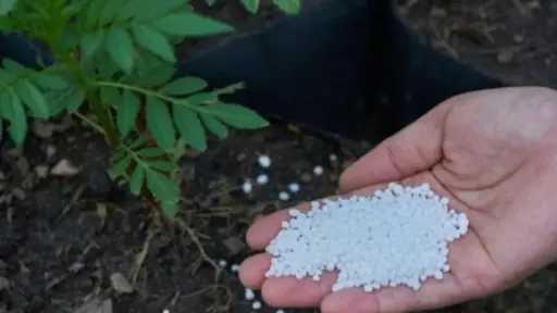 الزراعة: التوسع في استخدام «كارت الفلاح» لتنظيم صرف الأسمدة ودعم التخطيط الزراعي