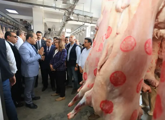 تطوير مجزر بلقاس بالدقهلية.. 5 ملايين جنيه لرفع الكفاءة وتحسين خدمات الذبح