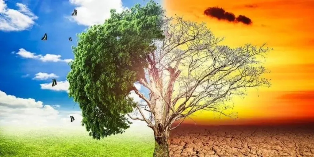 خبير يكشف أهمية الزراعة الحيوية في مواجهة تغيرات المناخ