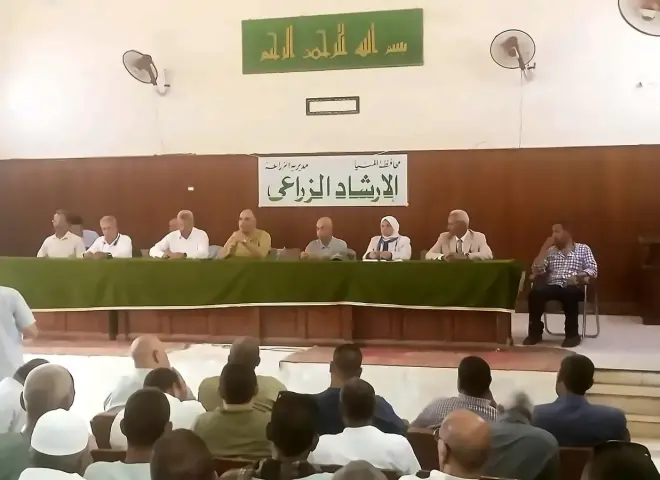 تحركات لتوطين تقاوي البطاطس في مصر وتقليل الاعتماد على المستورد
