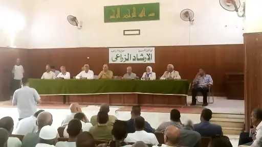 تحركات لتوطين تقاوي البطاطس في مصر وتقليل الاعتماد على المستورد